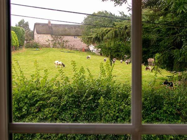 The Old Smithy Villa Bridport Eksteriør billede